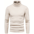 Men's ribbed knit turtleneck jumper front view