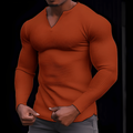 Men's slim fit long sleeve V-neck shirt front view
