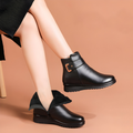 Ankle boots front view